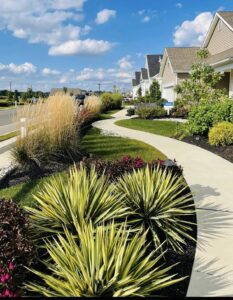 Plant & flower bed for Lennar