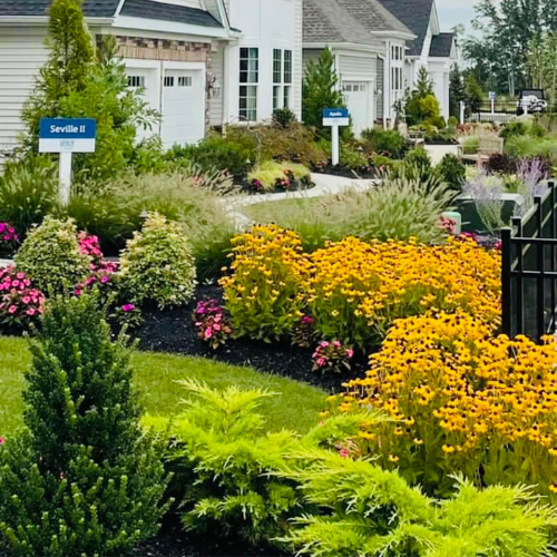 Residential community flowers and plants